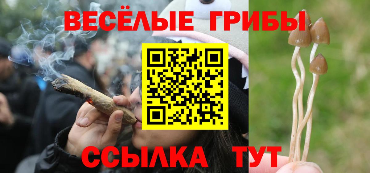 Комсомольск-на-Амуре  Псилоцибиновые грибы Psilocybe  Вход с VPN  Псилоцибиновые грибы Magic Shrooms 