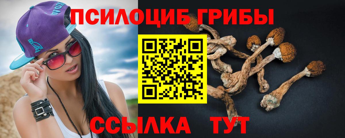 Псилоцибиновые грибы мицелий Комсомольск-на-Амуре